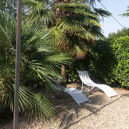 Au Bord De La Charente * Jarnac